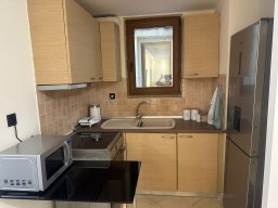 Advance Real Estate 1